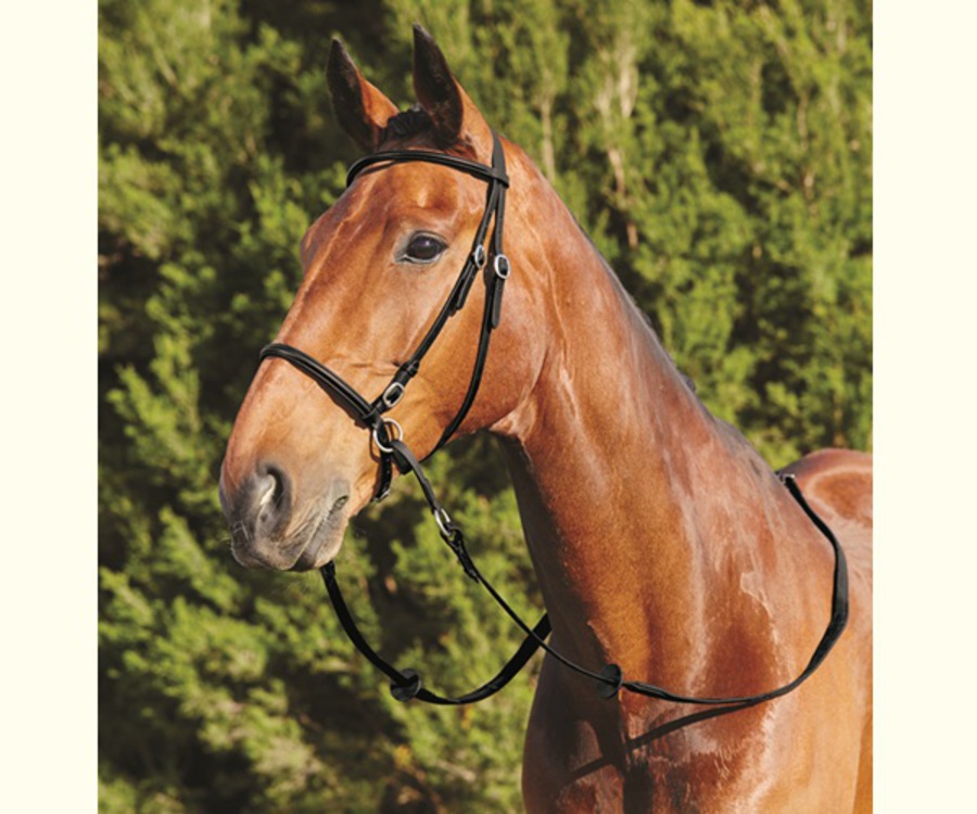 Dublin Bitless Bridle image 0